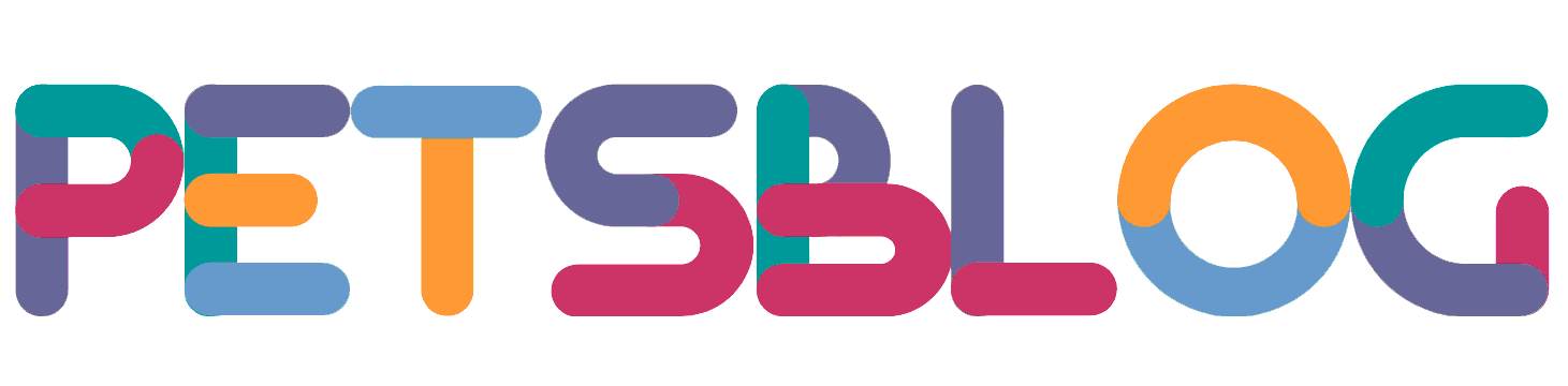 Qbzjzj News Qbzjzj News