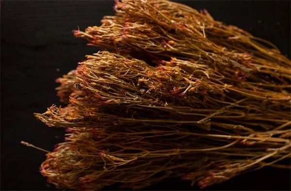 Ginger Root Benefits: How This Ancient Remedy Fights Autoimmune Inflammation