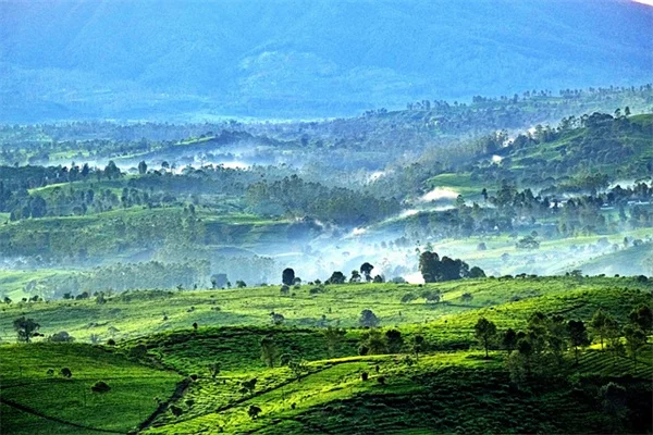 CRISPR Gene Editing for High Cholesterol: 2 Breakthrough Treatments Explained