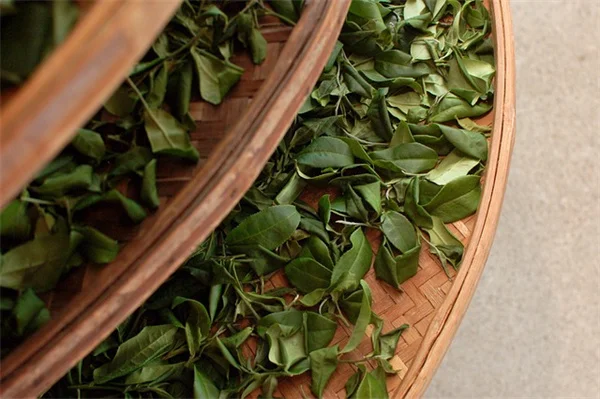 TikTok Skincare Dangers: Why Young Girls Should Avoid These Viral Trends