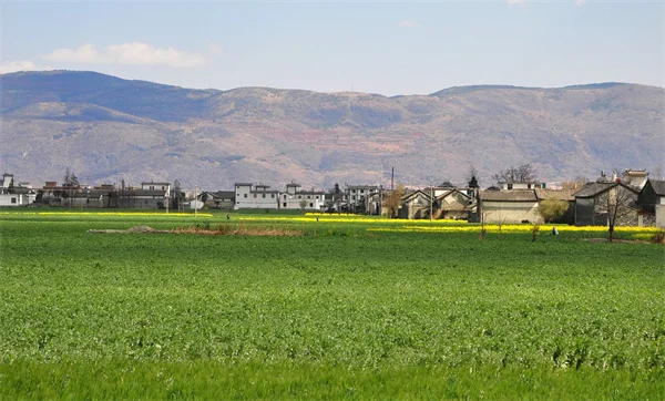 Dementia Risk in the U.S.: Why Your Location Matters (New Study)