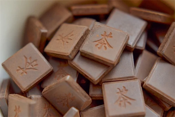 Fiber vs Starch: How This Simple Swap Helps You Lose Weight Naturally